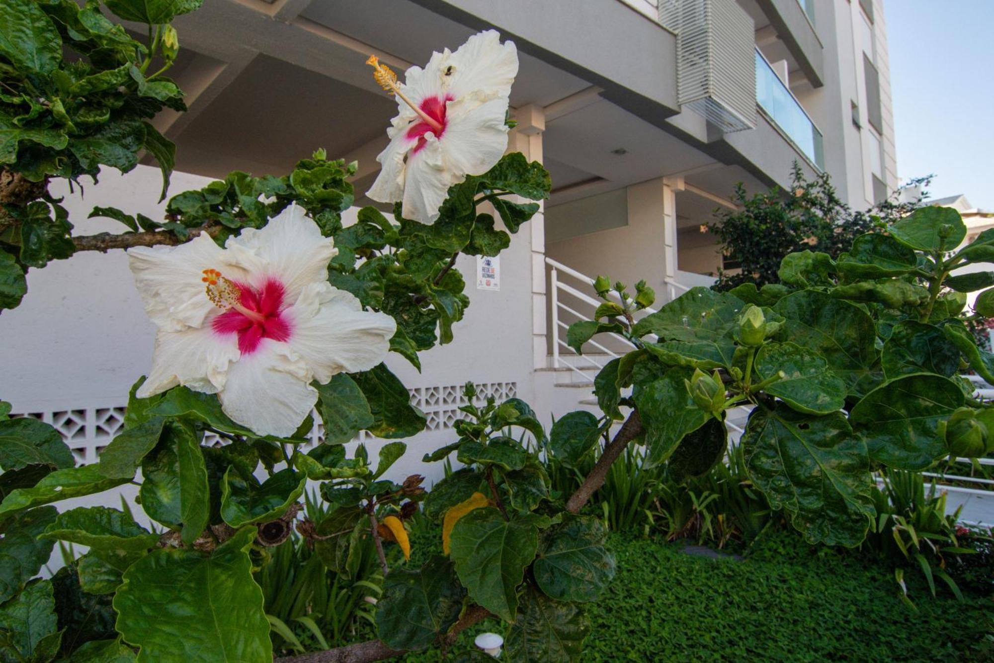 Localização Perfeita No Novo Campeche, Apto 4 Hóspedes P473 Apartamento
